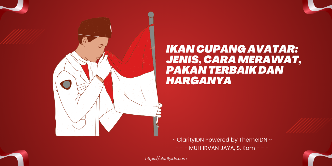 Ikan Cupang Avatar: Jenis, Cara Merawat, Pakan Terbaik dan Harganya
