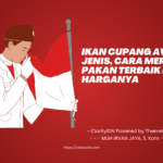 Ikan Cupang Avatar: Jenis, Cara Merawat, Pakan Terbaik dan Harganya