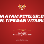 Usaha Ayam Petelur: Biaya, Pakan, Tips dan Vitaminnya