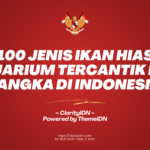 100 Jenis Ikan Hias Aquarium Tercantik dan Langka di Indonesia