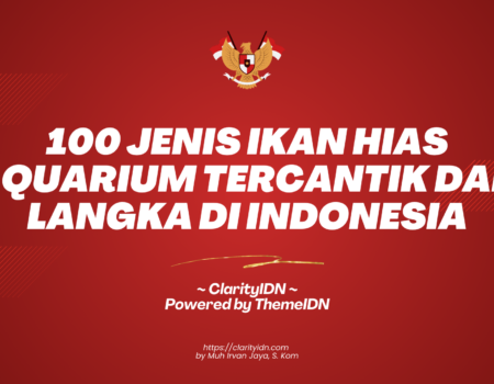 100 Jenis Ikan Hias Aquarium Tercantik dan Langka di Indonesia