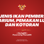 20 Jenis Ikan Pembersih Aquarium, Pemakan Lumut dan Kotoran