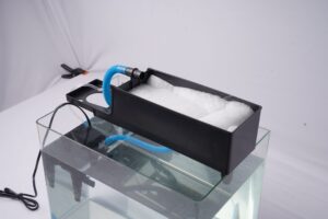 Susunan Filter Aquarium agar Air Tetap Jernih dengan Efektif