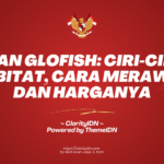Ikan Glofish: Ciri-ciri, Habitat, Cara Merawat dan Harganya