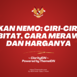 Ikan Nemo: Ciri-ciri, Habitat, Cara Merawat dan Harganya