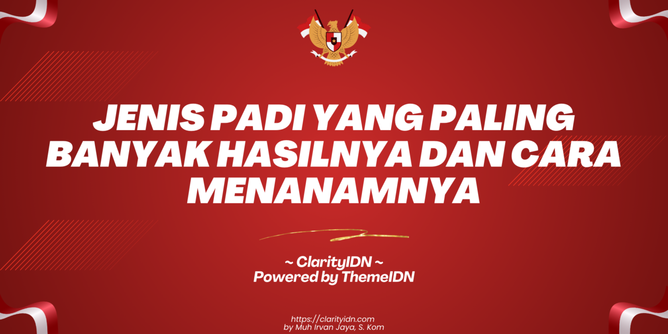 Jenis Padi yang Paling Banyak Hasilnya dan Cara Menanamnya