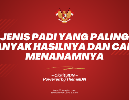 Jenis Padi yang Paling Banyak Hasilnya dan Cara Menanamnya