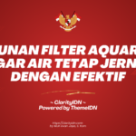 Susunan Filter Aquarium agar Air Tetap Jernih dengan Efektif