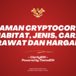 Tanaman Cryptocoryne: Habitat, Jenis, Cara Merawat dan Harganya