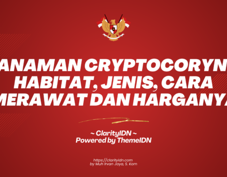 Tanaman Cryptocoryne: Habitat, Jenis, Cara Merawat dan Harganya