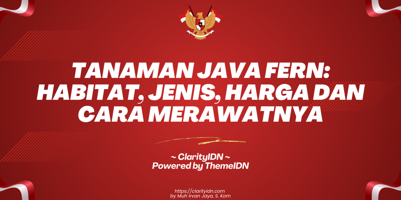 Tanaman Java Fern: Habitat, Jenis, Harga dan Cara Merawatnya