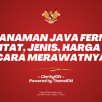 Tanaman Java Fern: Habitat, Jenis, Harga dan Cara Merawatnya