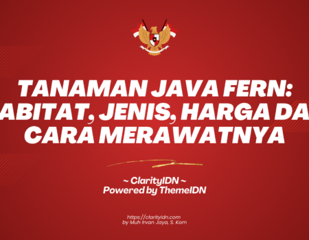 Tanaman Java Fern: Habitat, Jenis, Harga dan Cara Merawatnya