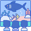 20 Jenis Ikan Pembersih Aquarium, Pemakan Lumut dan Kotoran