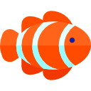 Ikan Nemo: Ciri-ciri, Habitat, Cara Merawat dan Harganya