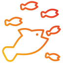 20 Jenis Ikan Predator Air Tawar Paling Ganas di Indonesia