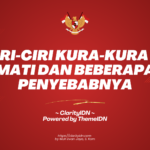 10 Ciri-Ciri Kura-Kura Mau Mati dan Beberapa Penyebabnya