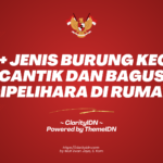 15+ Jenis Burung Kecil Cantik dan Bagus Dipelihara di Rumah