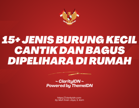 15+ Jenis Burung Kecil Cantik dan Bagus Dipelihara di Rumah