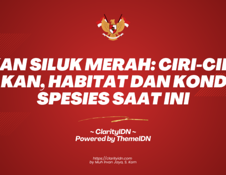 Ikan Siluk Merah: Ciri-ciri, Pakan, Habitat dan Kondisi Spesies Saat Ini