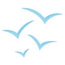 15+ Jenis Burung Kecil Cantik dan Bagus Dipelihara di Rumah